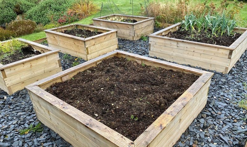 Empty Beds Lose Nutrients To Erosion