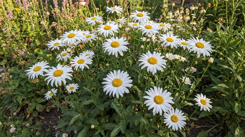 Encourage Strong Spring Growth Encourage Strong Spring Growth