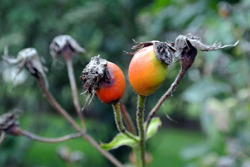 Enjoy This Bonus Round Before Dormancy Enjoy This Bonus Round Before Dormancy