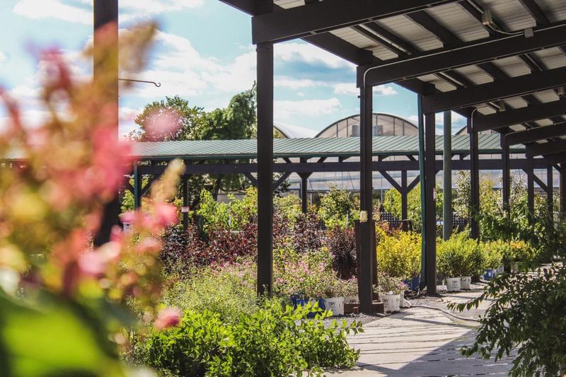 Esbenshade's Garden Centers - Lititz
