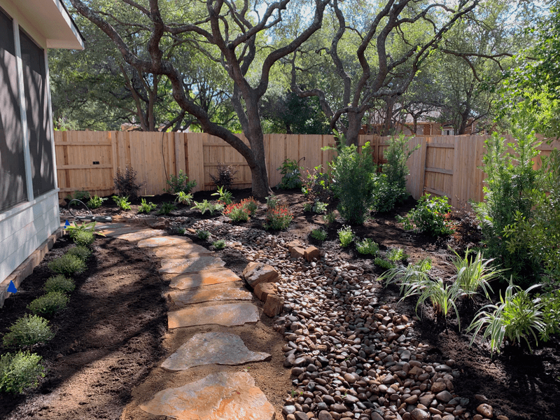Established Plants Can Stretch Between Waterings