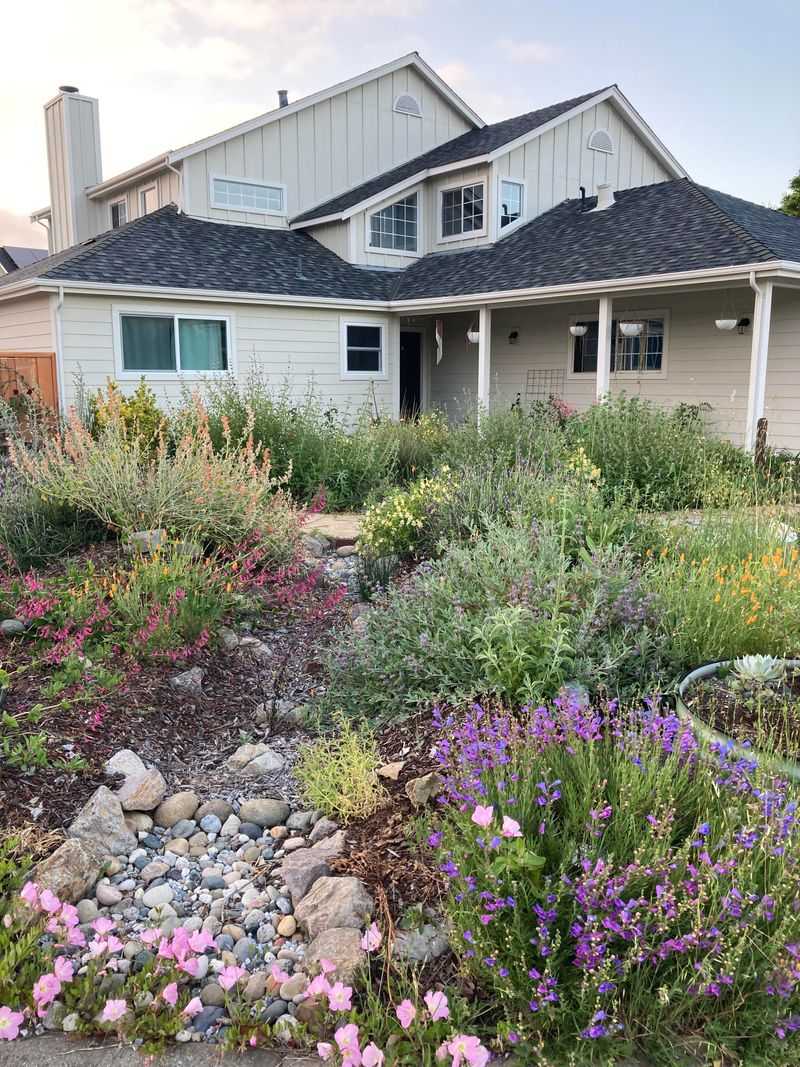 Established Plants Need Far Less Than Summer