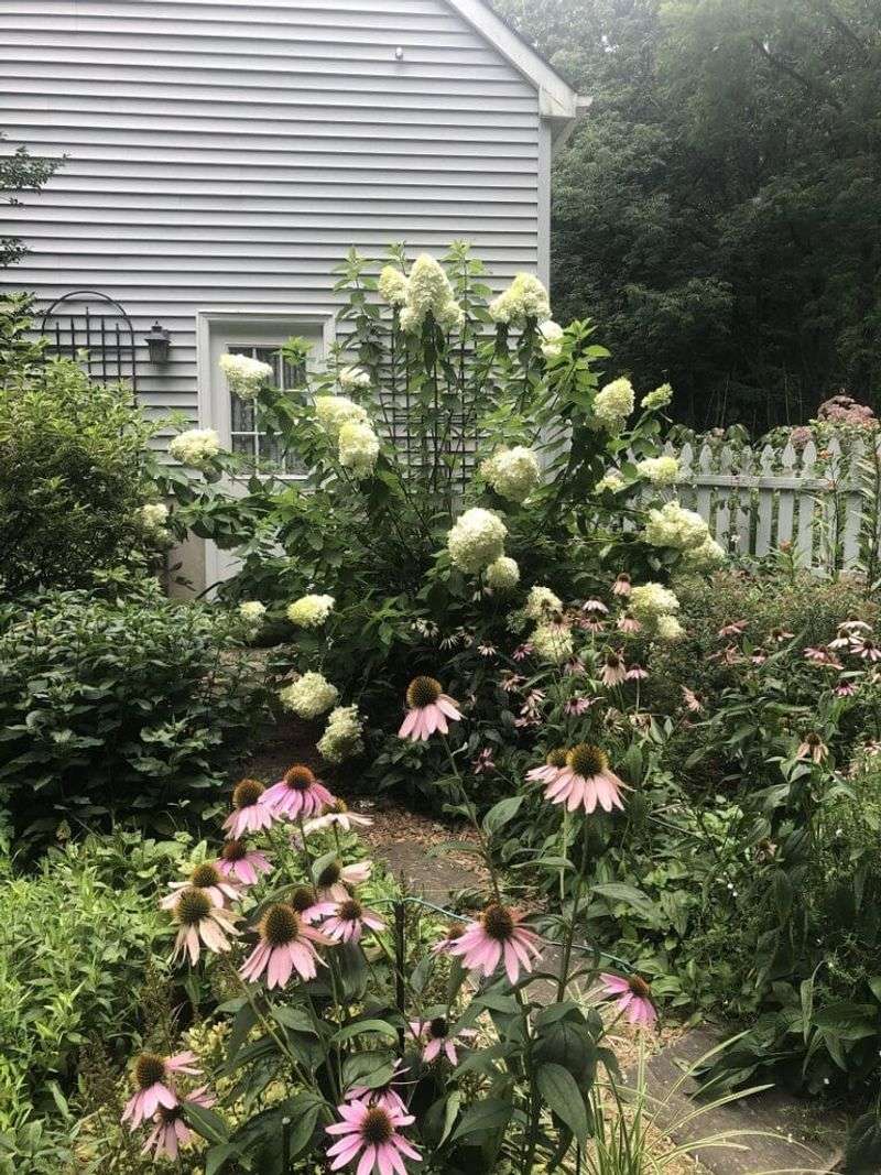 Established Plants Need Less Than Gardeners Assume Established Plants Need Less Than Gardeners Assume