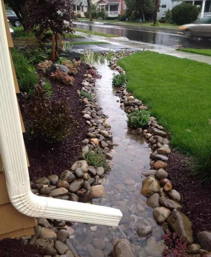 Excess Fertilizer Often Just Washes Away Excess Fertilizer Often Just Washes Away