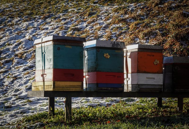 Exposed Hive Stands And Unprotected Yards Exposed Hive Stands And Unprotected Yards