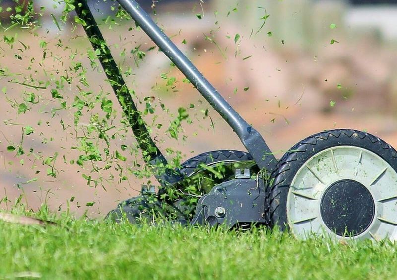 Fall Changes How Your Lawn Should Be Mowed