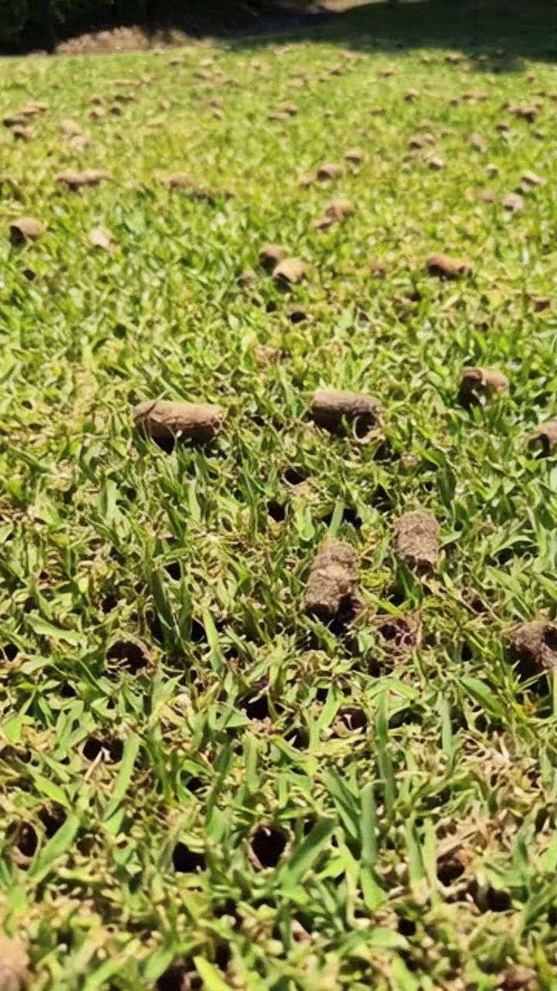 Fall Gives Fescue Its Best Growing Conditions Fall Gives Fescue Its Best Growing Conditions