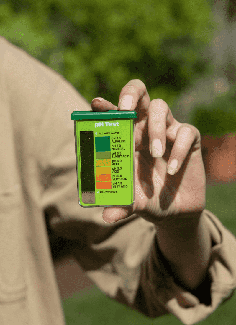Fall Is A Good Time To Check The Soil Fall Is A Good Time To Check The Soil