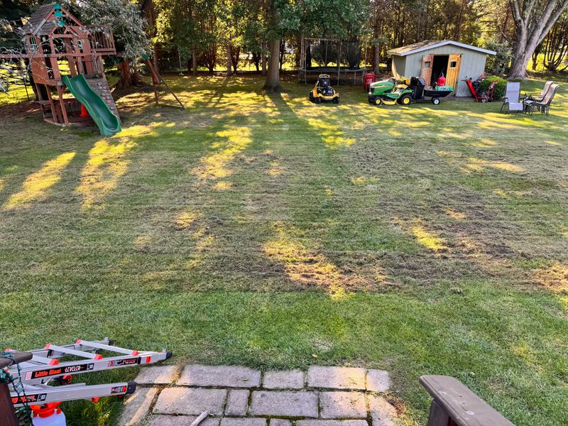 Fall Is The Time To Thicken Thin Turf