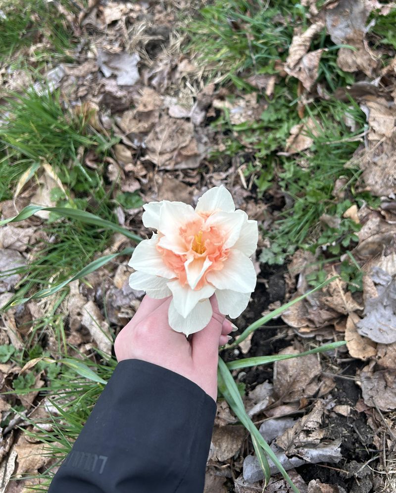 Fall Is When Bulb Theft Usually Peaks
