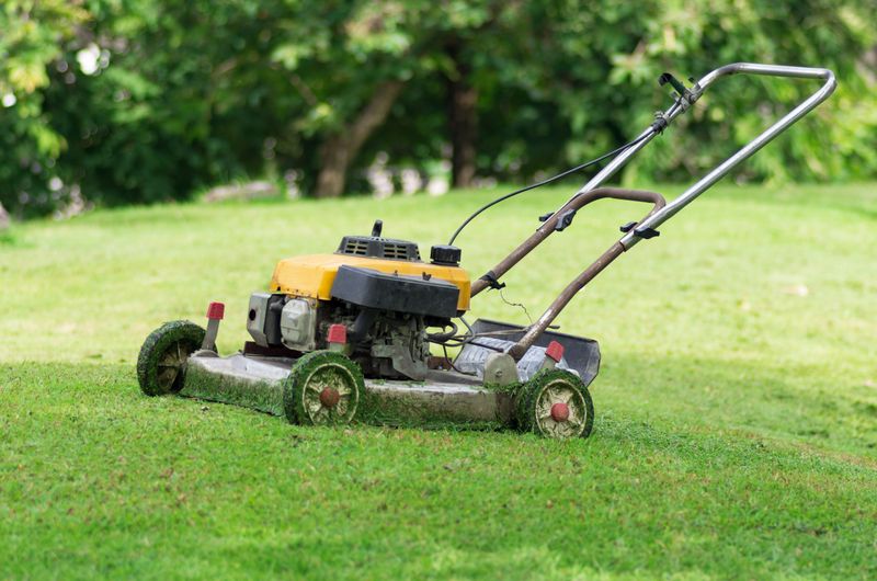 Fall Mowing Keeps Grasscycling Working In Michigan Lawns