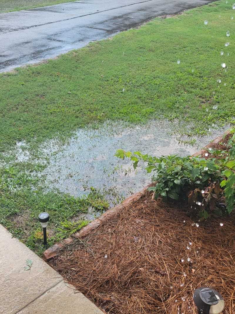 Fall Rain Alone May Not Fix Compacted Beds