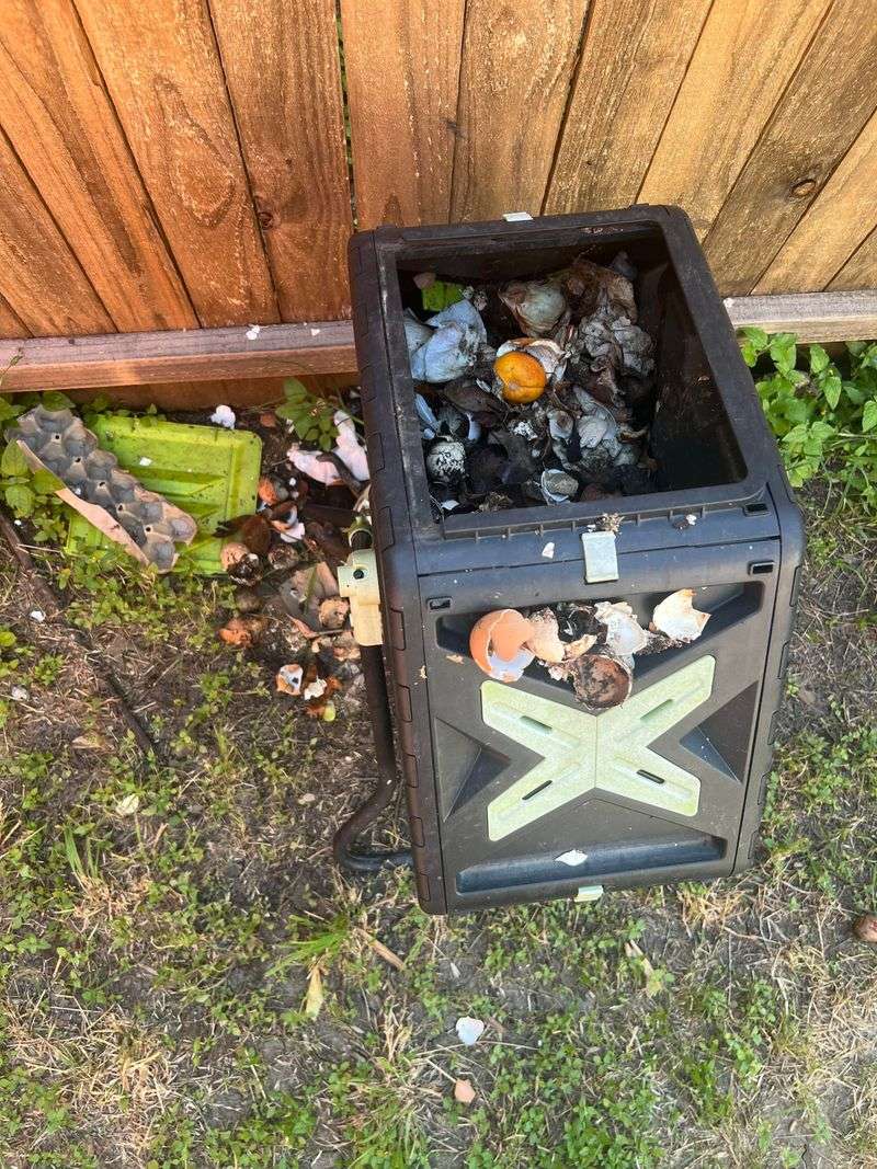 Fallen Fruit And Open Compost Are Drawing Attention