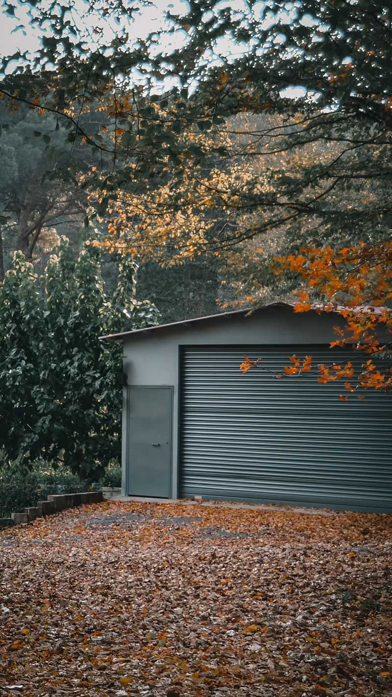 Favorite Hiding Spots In Colorado Yards And Garages