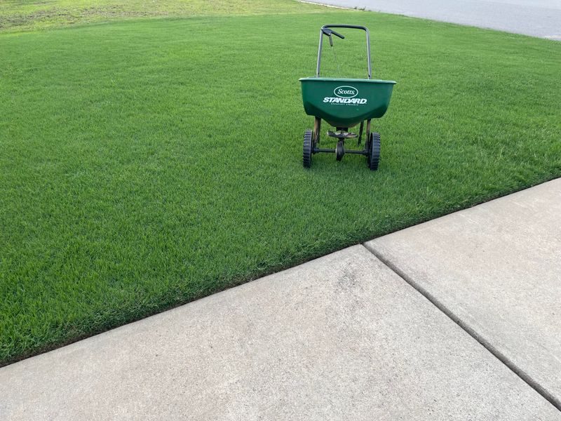 Feed Fescue Lawns With The Right Fertilizer Feed Fescue Lawns With The Right Fertilizer
