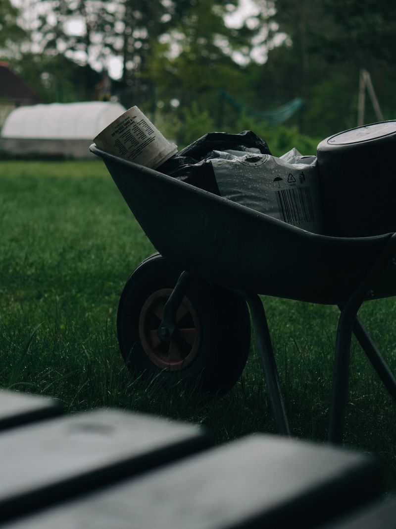 Feed The Lawn With A Fall Fertilizer Feed The Lawn With A Fall Fertilizer