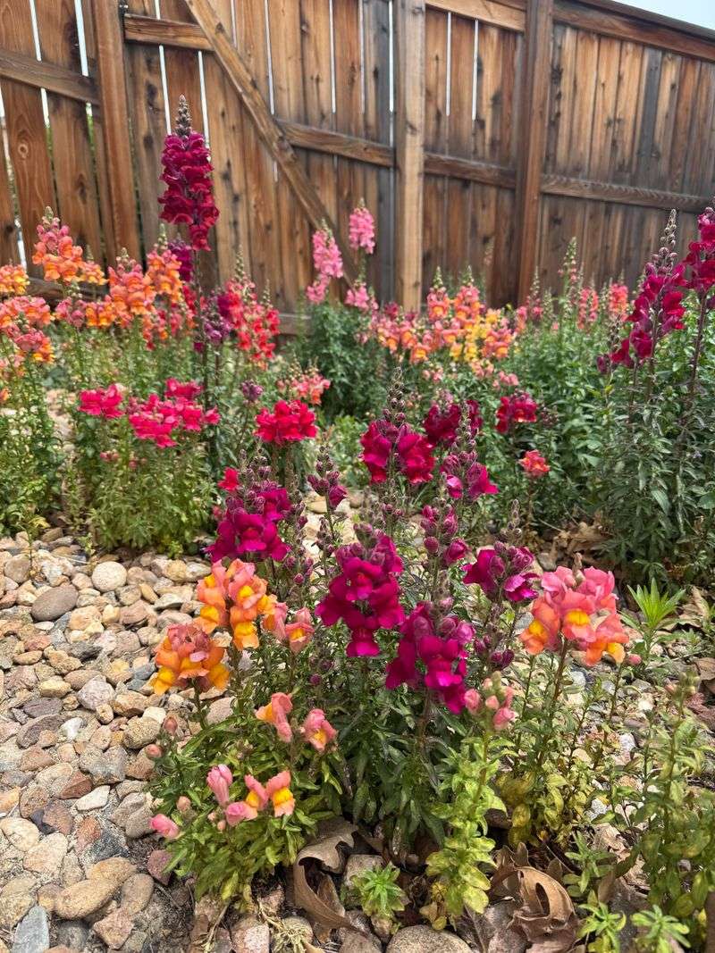 Feed The Soil With A Light Autumn Fertilizer