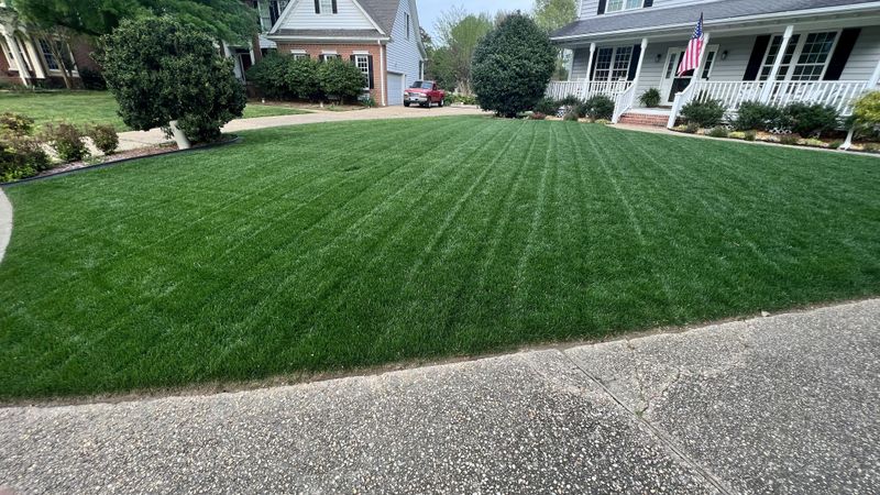 Feed Your Lawn When Fall Growth Returns Feed Your Lawn When Fall Growth Returns