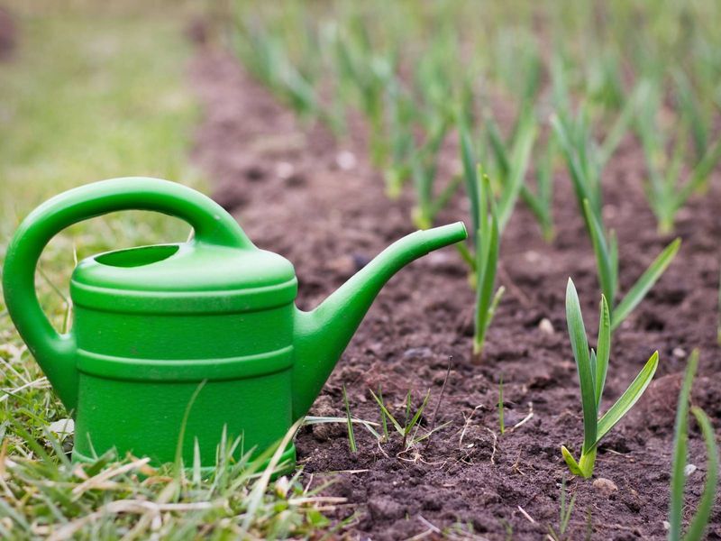 Feed modestly and adjust care as spring arrives