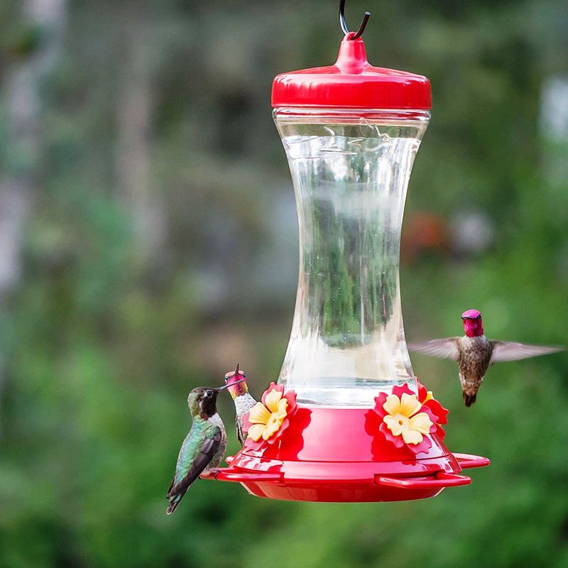 Feeders Concentrate Sweetness Into One Tiny Spot Feeders Concentrate Sweetness Into One Tiny Spot