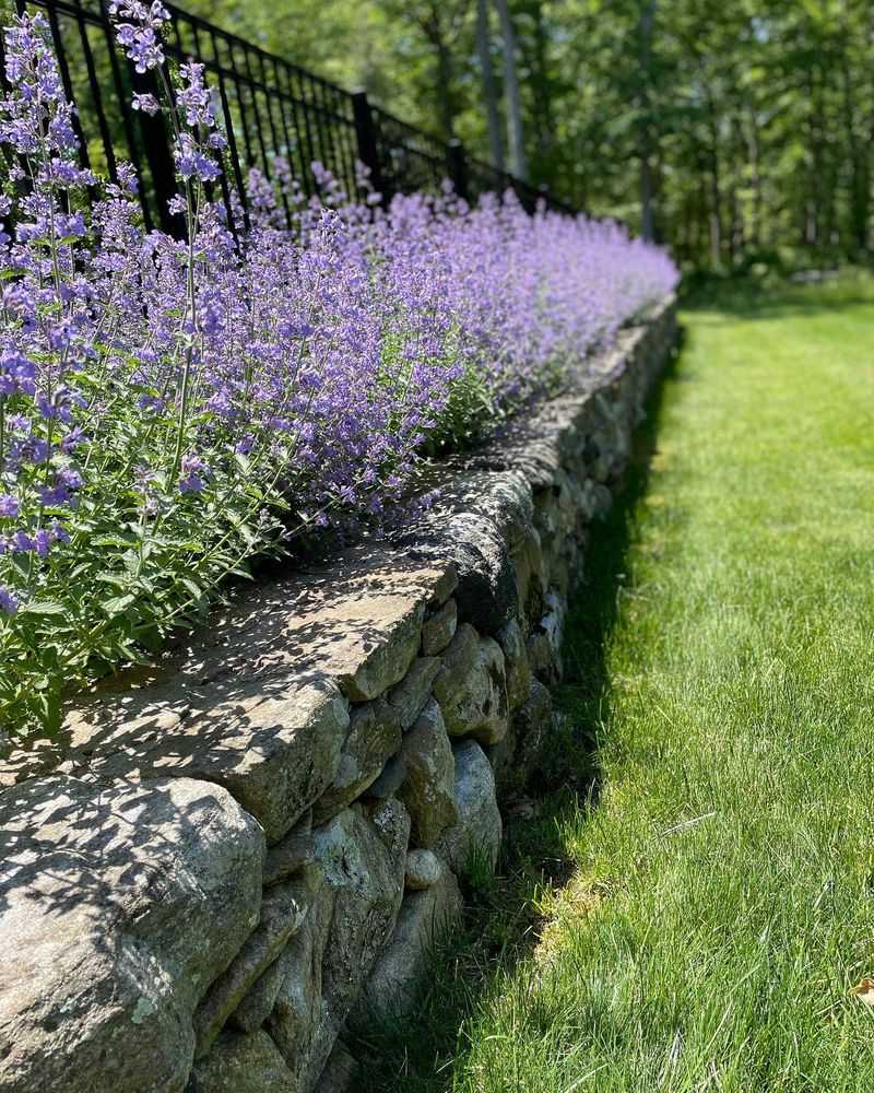 Fence Line Placement And Pennsylvania Planting Seasons Fence Line Placement And Pennsylvania Planting Seasons