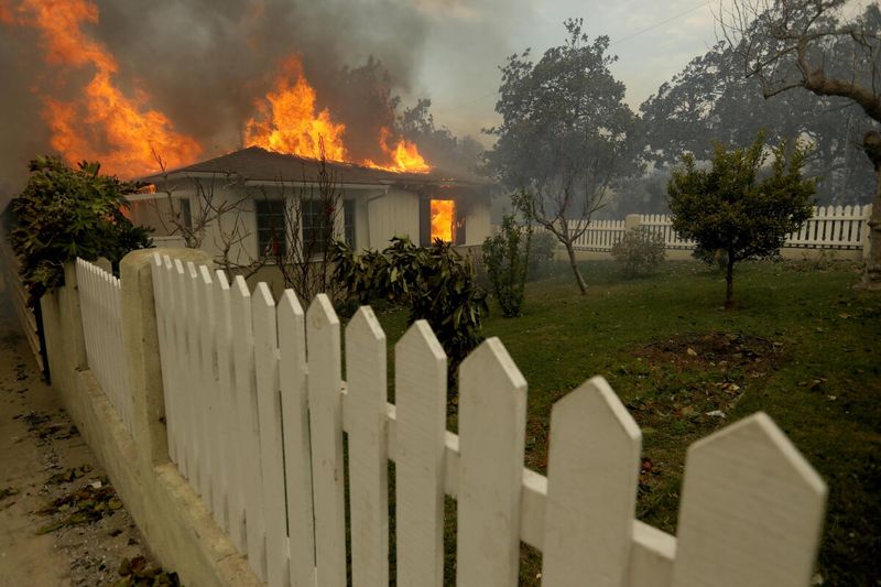 Fences And Shrubs Can Create A Path To The Home Fences And Shrubs Can Create A Path To The Home