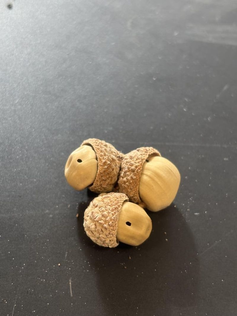 Filbertworm Lookalikes And Other Acorn Squatters