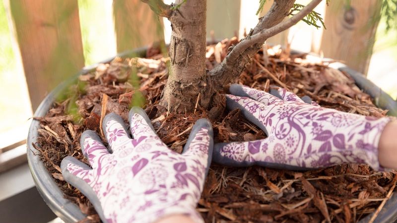 Fill It With Dry, Shredded Leaves Or Straw Fill It With Dry, Shredded Leaves Or Straw
