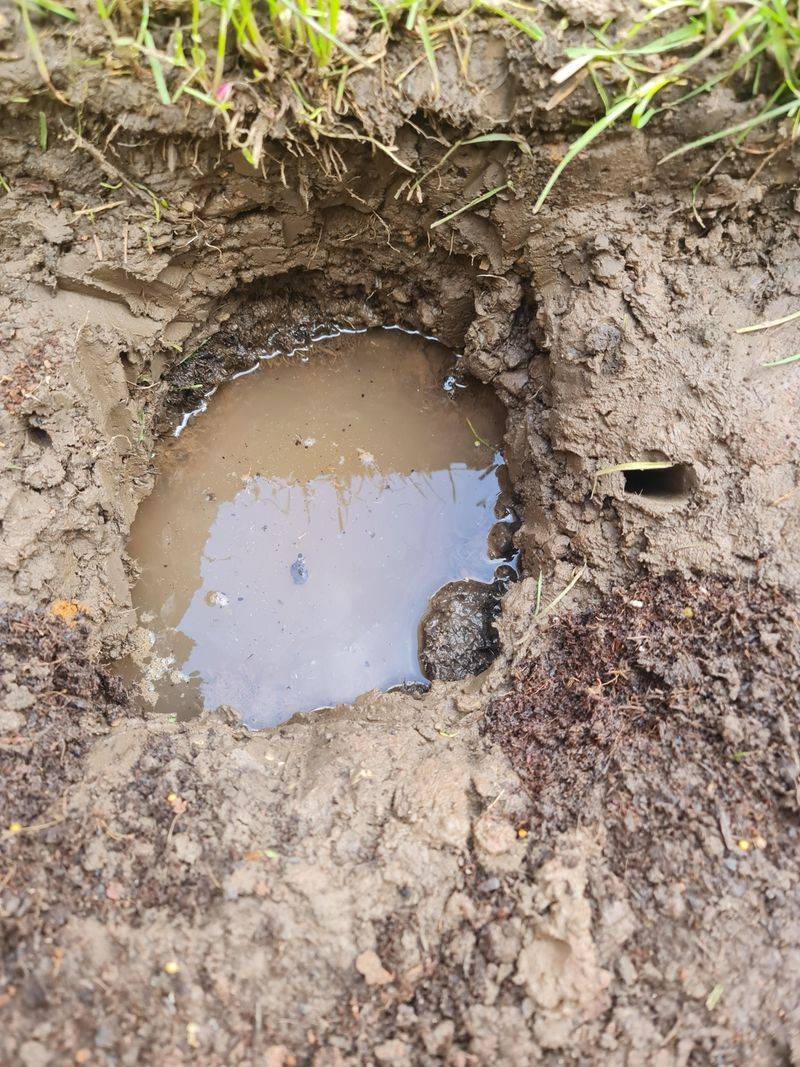 Fill The Hole With Water And Let It Drain Completely Fill The Hole With Water And Let It Drain Completely