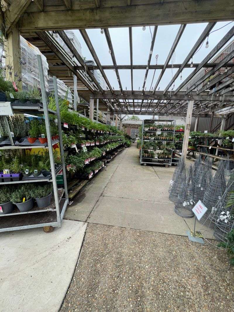 Find Exotic Surprises At Esposito Garden Center In Tallahassee