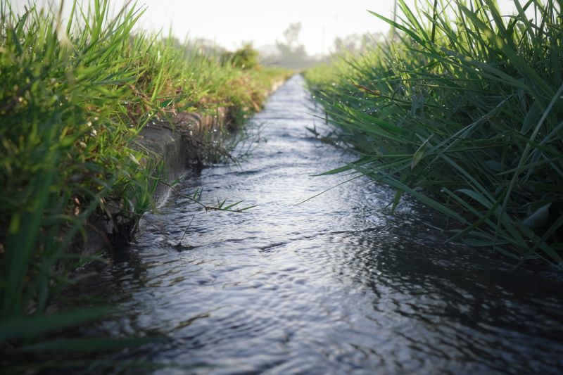 Fines And Cleaner Waterways Down The Road