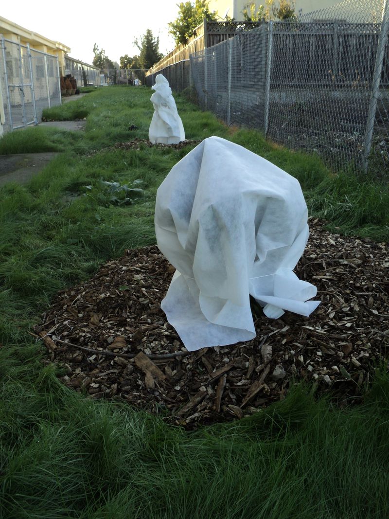 Finish Seasonal Watering Before Hard Freeze Finish Seasonal Watering Before Hard Freeze