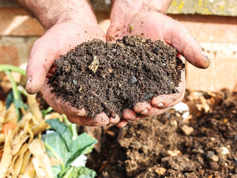 Finished Compost Builds Healthier Soil