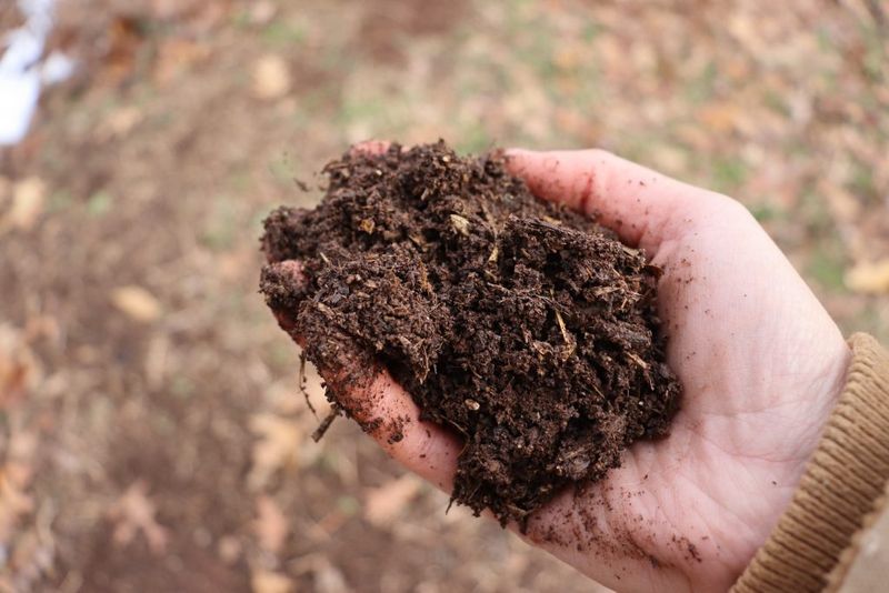 Finished Compost Smells Earthy, Not Sour Finished Compost Smells Earthy, Not Sour