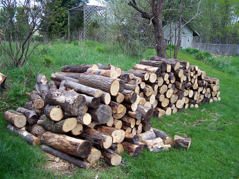 Firewood Piles, Wooded Areas, and Field Edges