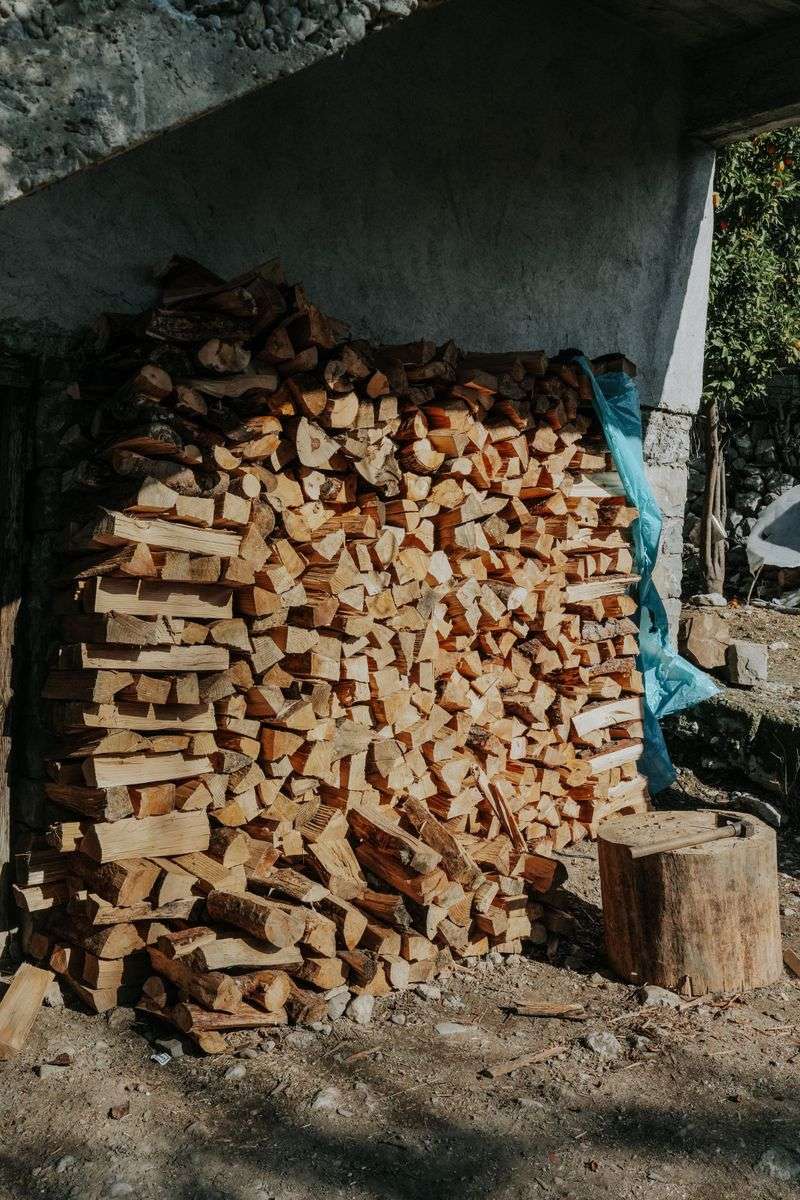 Firewood Stacks And Junk Piles Offer Convenient Shelter