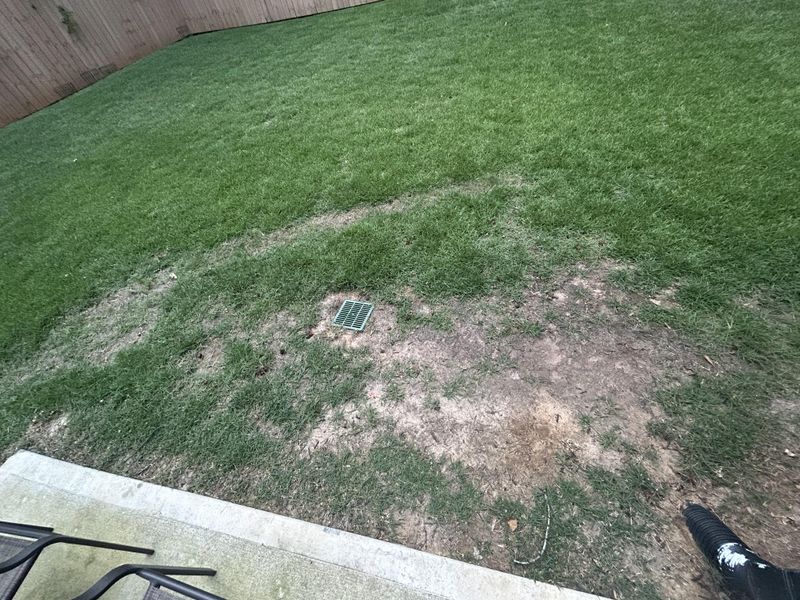 Fix Bare Spots While Growth Continues