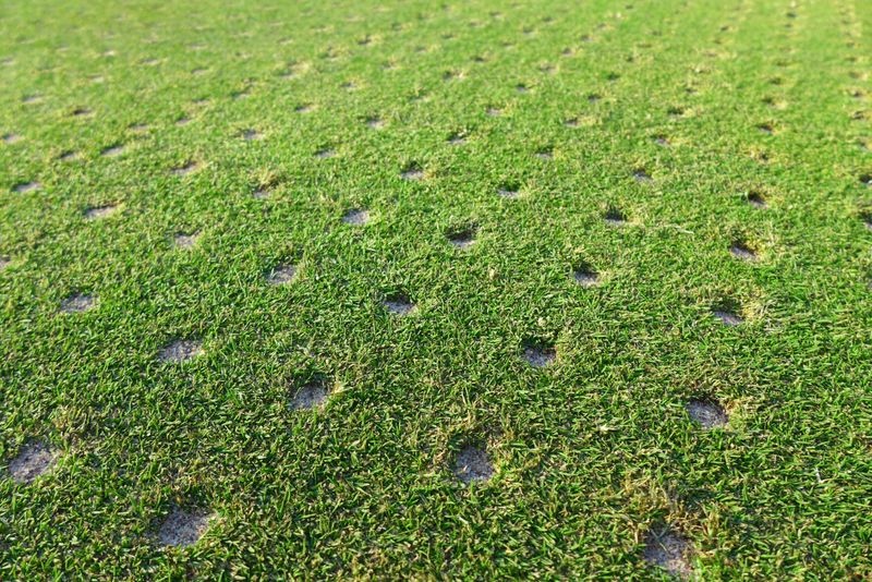 Fix Compacted Soil Before Spreading Seed Fix Compacted Soil Before Spreading Seed