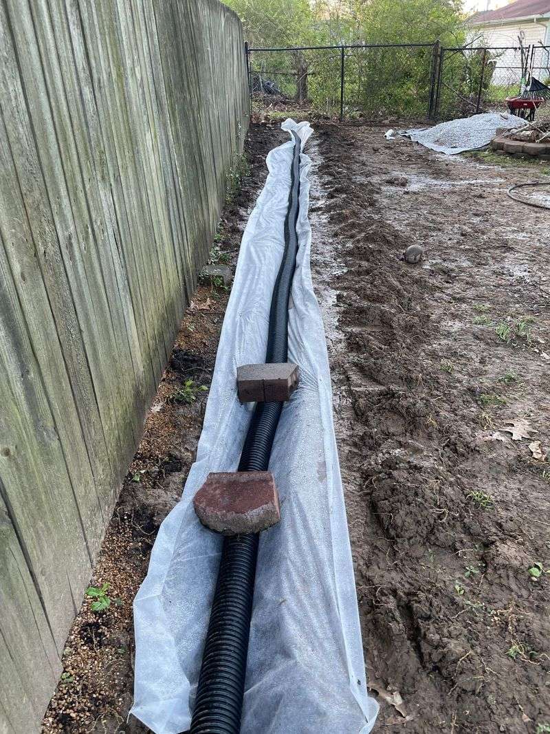 Fix Drainage Problems Before Roots Sit In Water Fix Drainage Problems Before Roots Sit In Water