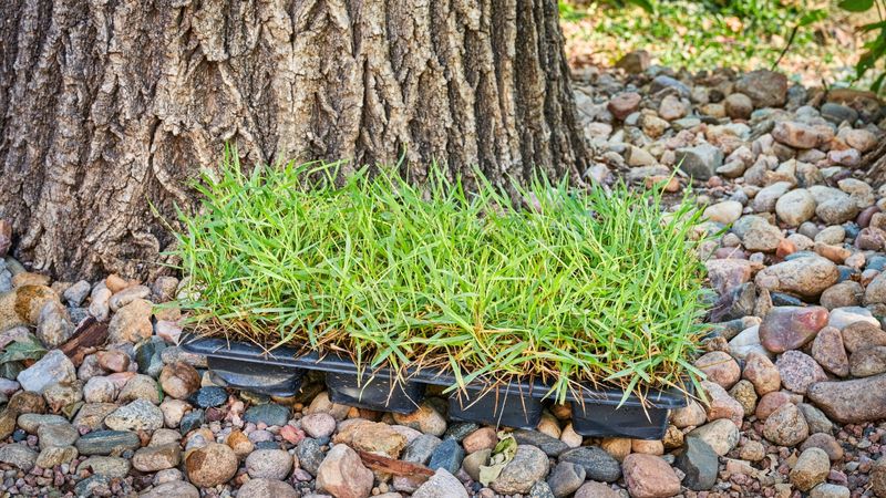 Fix The Cause Before Filling Bare Patches