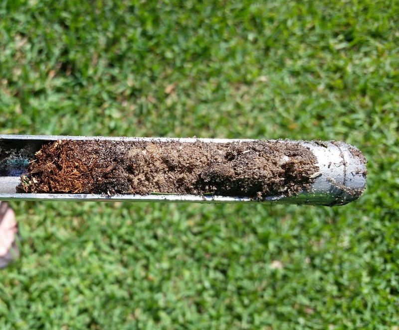 Fix The Problem Before Feeding The Lawn