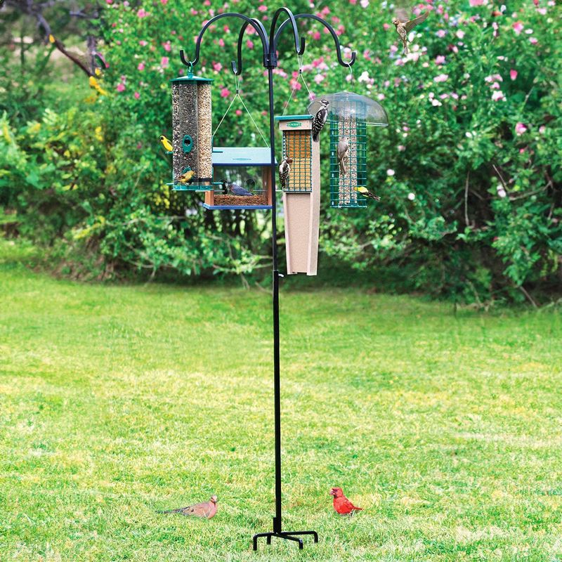 Fix This Feeder Mistake Before Wildlife Problems Start Fix This Feeder Mistake Before Wildlife Problems Start