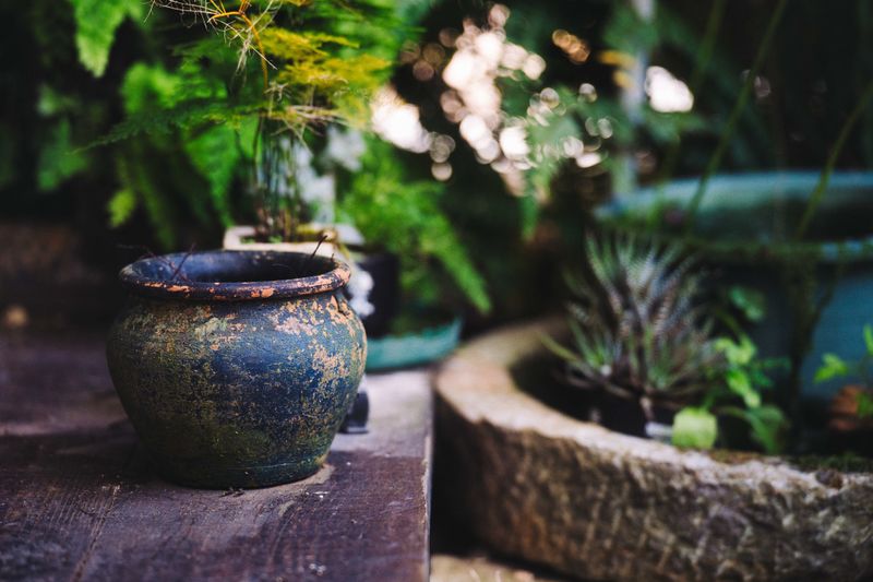 Flaking Surfaces Spoil A Pretty Pot Flaking Surfaces Spoil A Pretty Pot