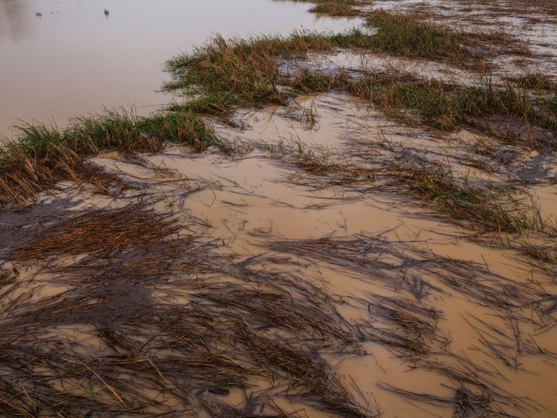 Flood-Up Season Arrives Right On Schedule