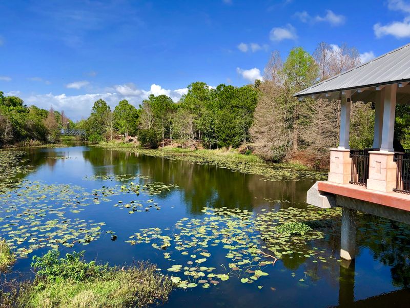 Florida Botanical Gardens Showcases Seasonal Native Plants