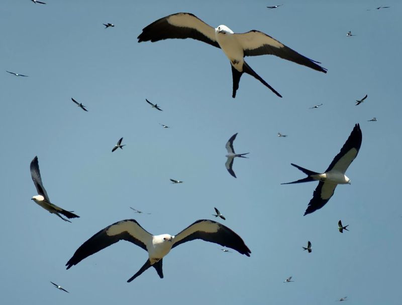 Florida’s Skies Get Quieter After September Florida’s Skies Get Quieter After September