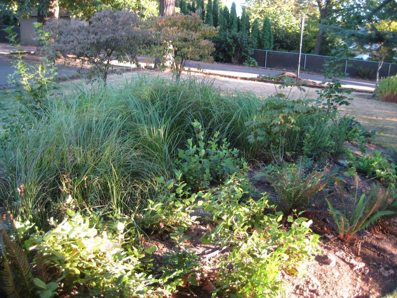 Follow a simple routine that fits your part of Oregon Follow a simple routine that fits your part of Oregon