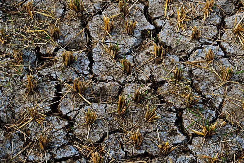 Forgetting To Top Up Sinking Soil