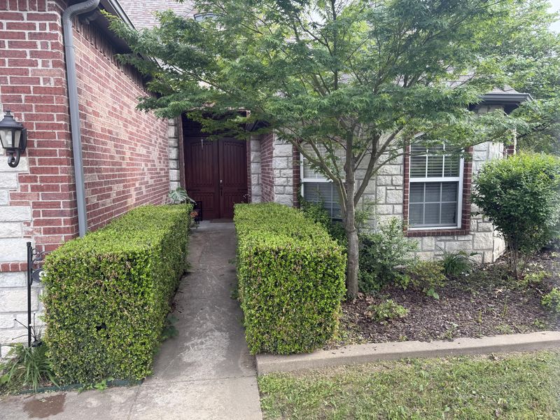 Formal Hedges Still Need The Right Pruning Window Formal Hedges Still Need The Right Pruning Window