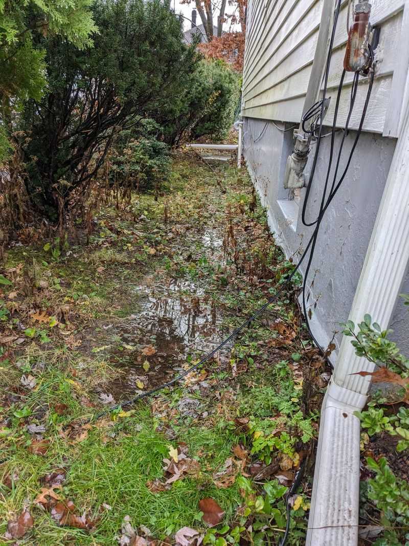 Foundation Areas Are Especially Vulnerable Foundation Areas Are Especially Vulnerable